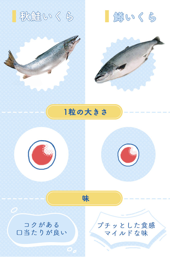 いくらと呼ばれるものには鮭の卵と鱒（マス）の卵の2種類が存在します。
この二つを区別するために、「秋鮭いくら」と「鱒いくら（マスコ）」と呼ぶことがあります。